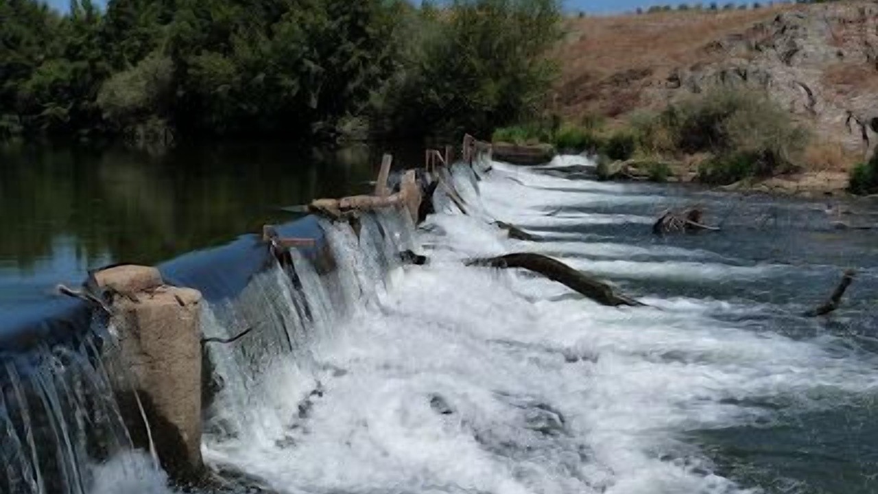Photo of Others in Cebrones del Rio