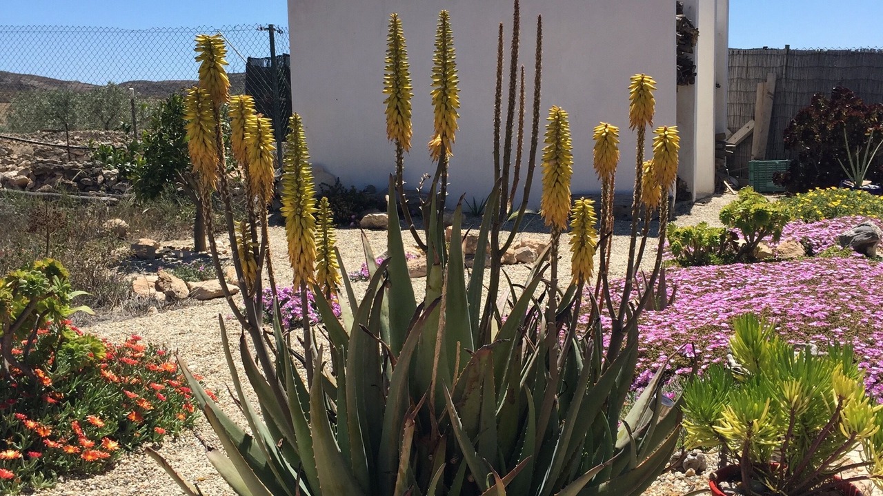 Photo of Outdoor in Fernan Perez
