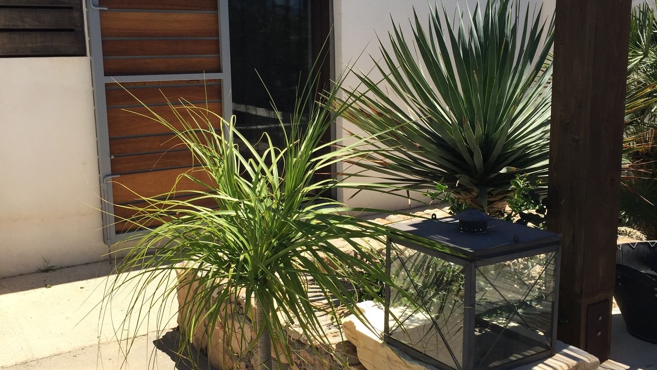 Photo of Patio Balcony in Fernan Perez
