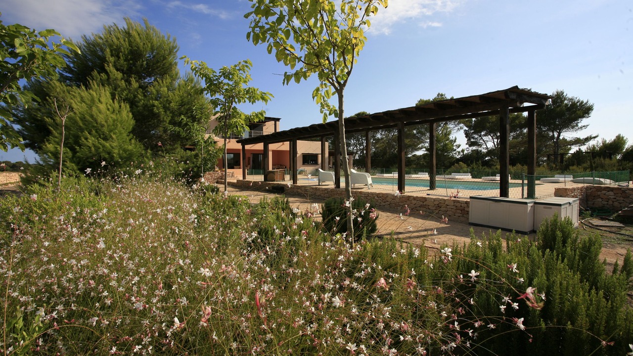 Photo of Outdoor in La Savina