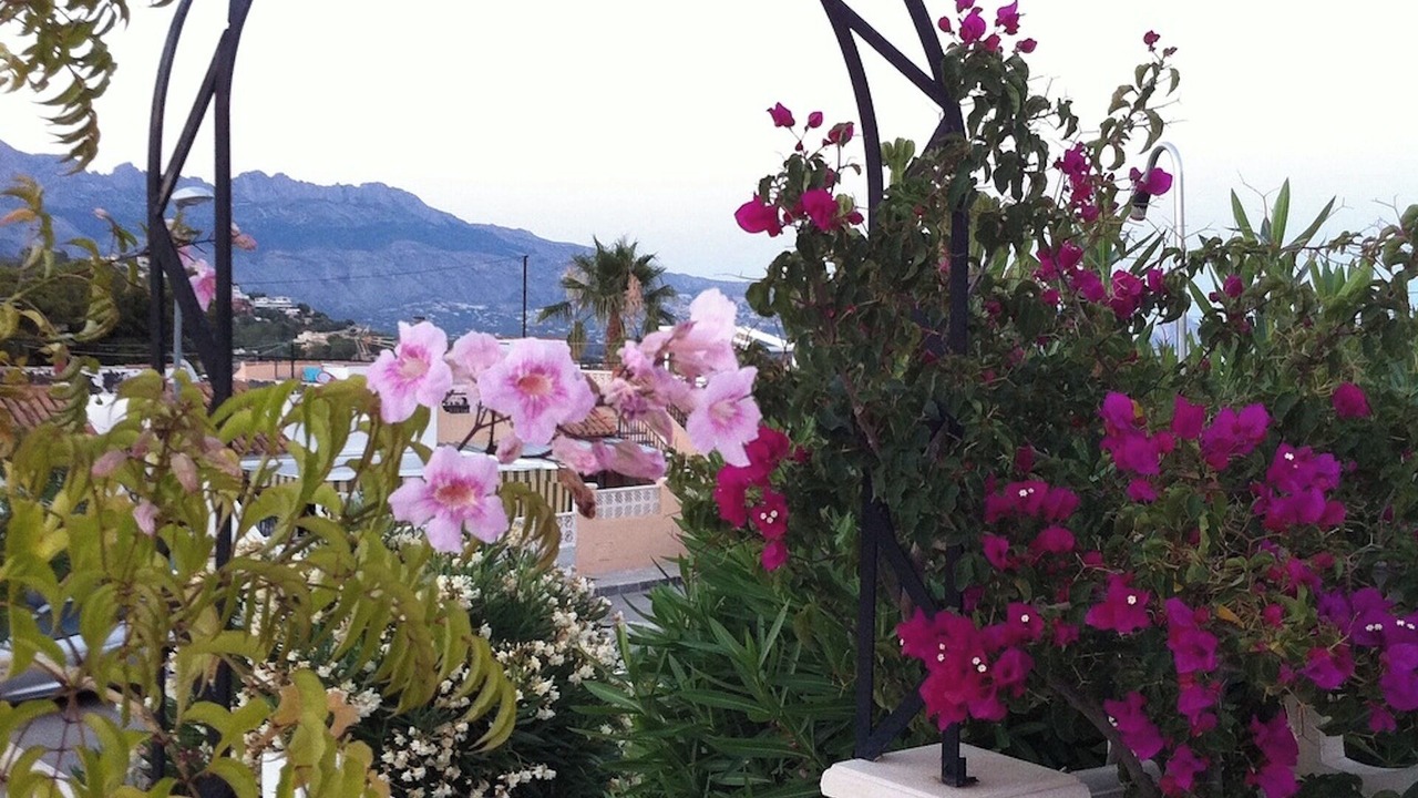 Photo of Outdoor in La Colina