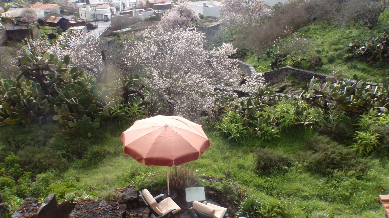 Photo of Outdoor in Las Casas