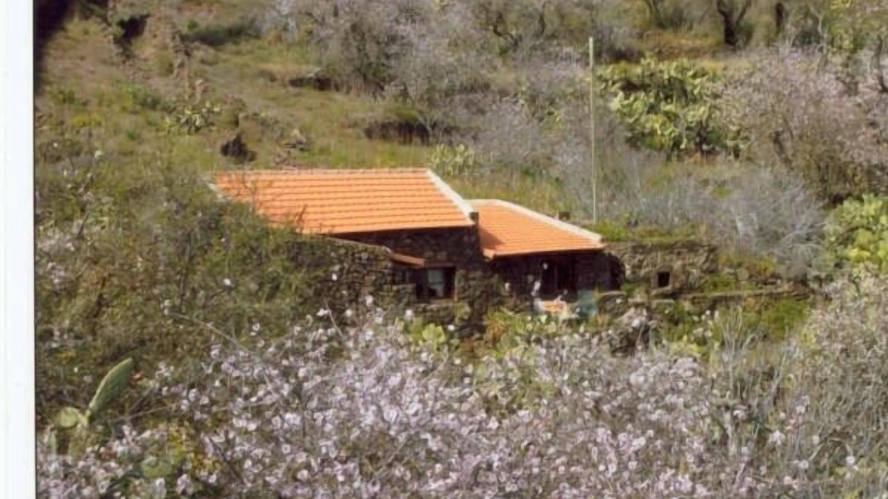 Photo of Outdoor in Las Casas