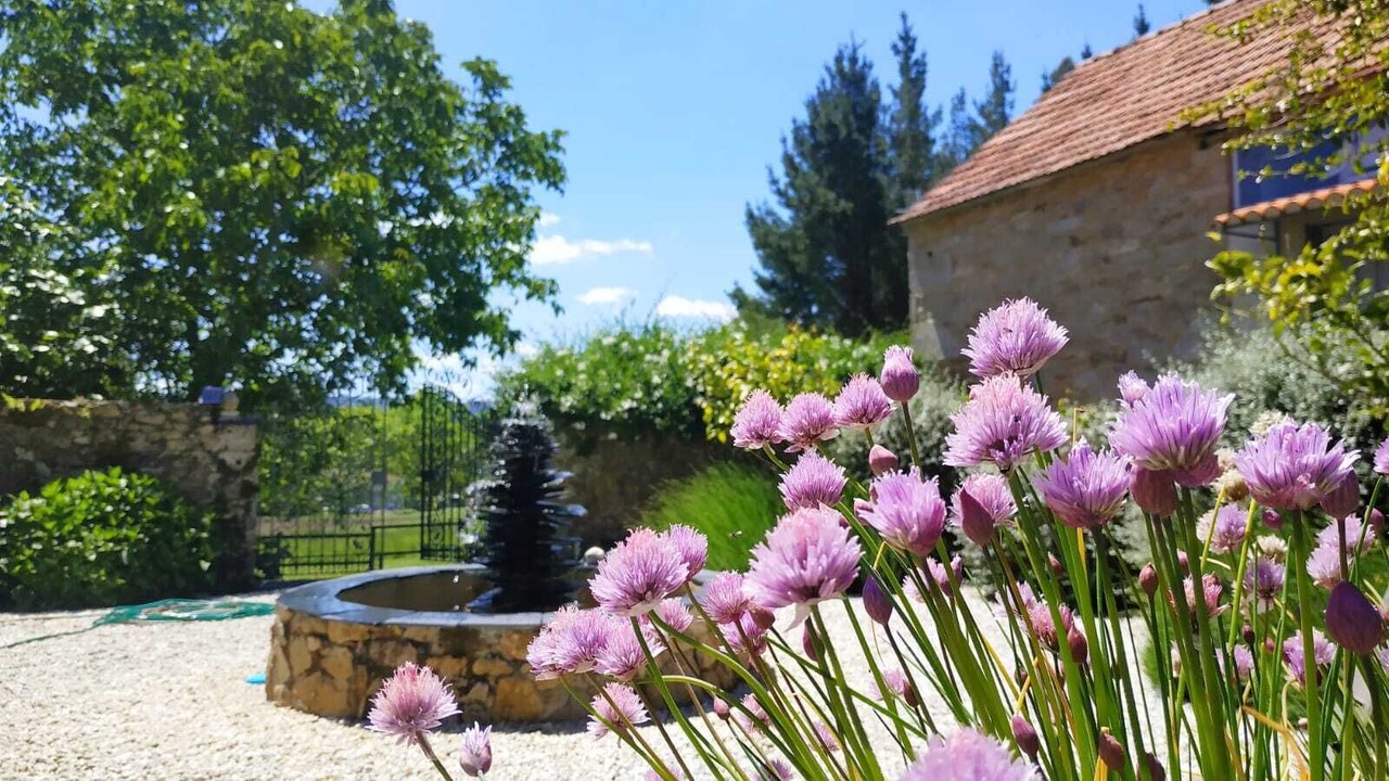 Photo of Outdoor in Vilarmaior