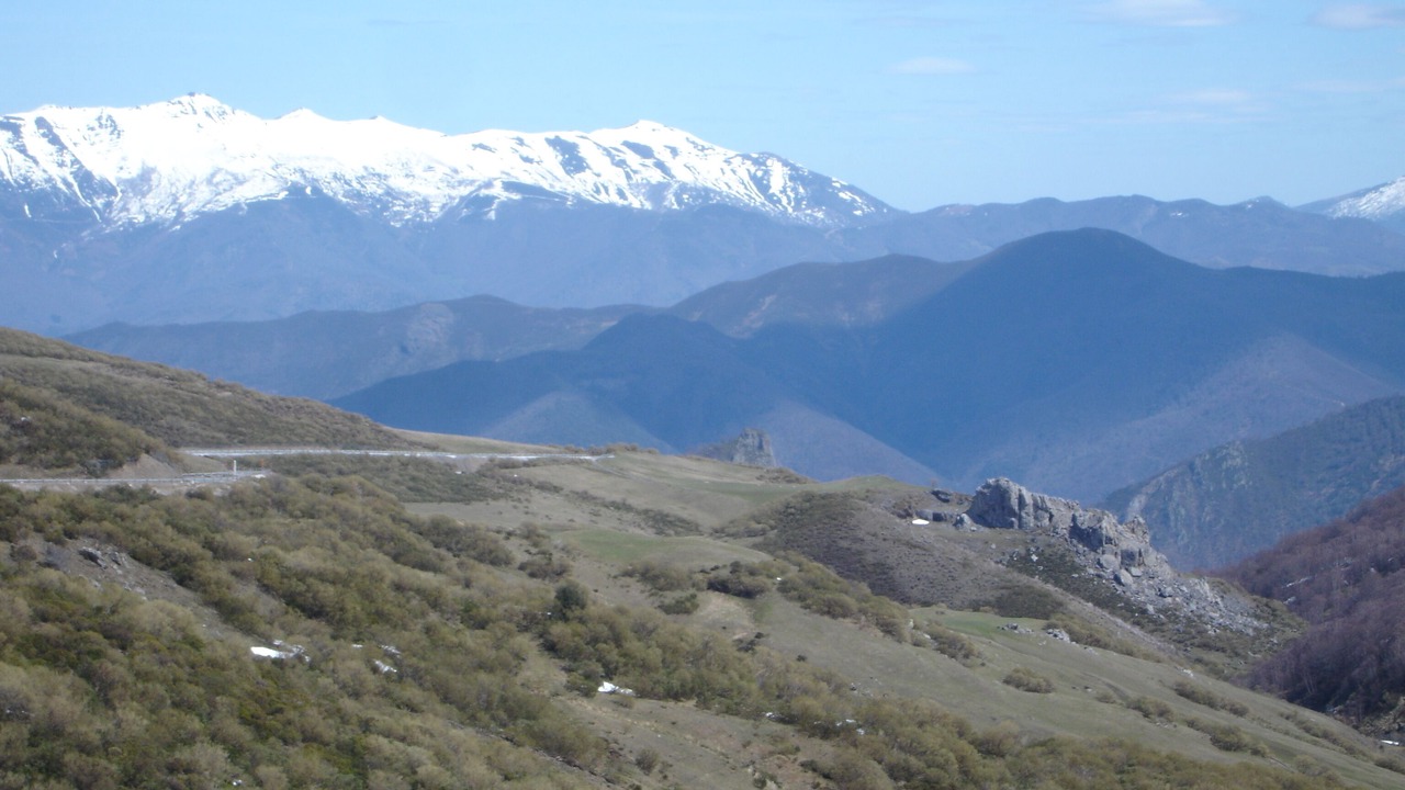 Photo of Others in Villafrea de la Reina