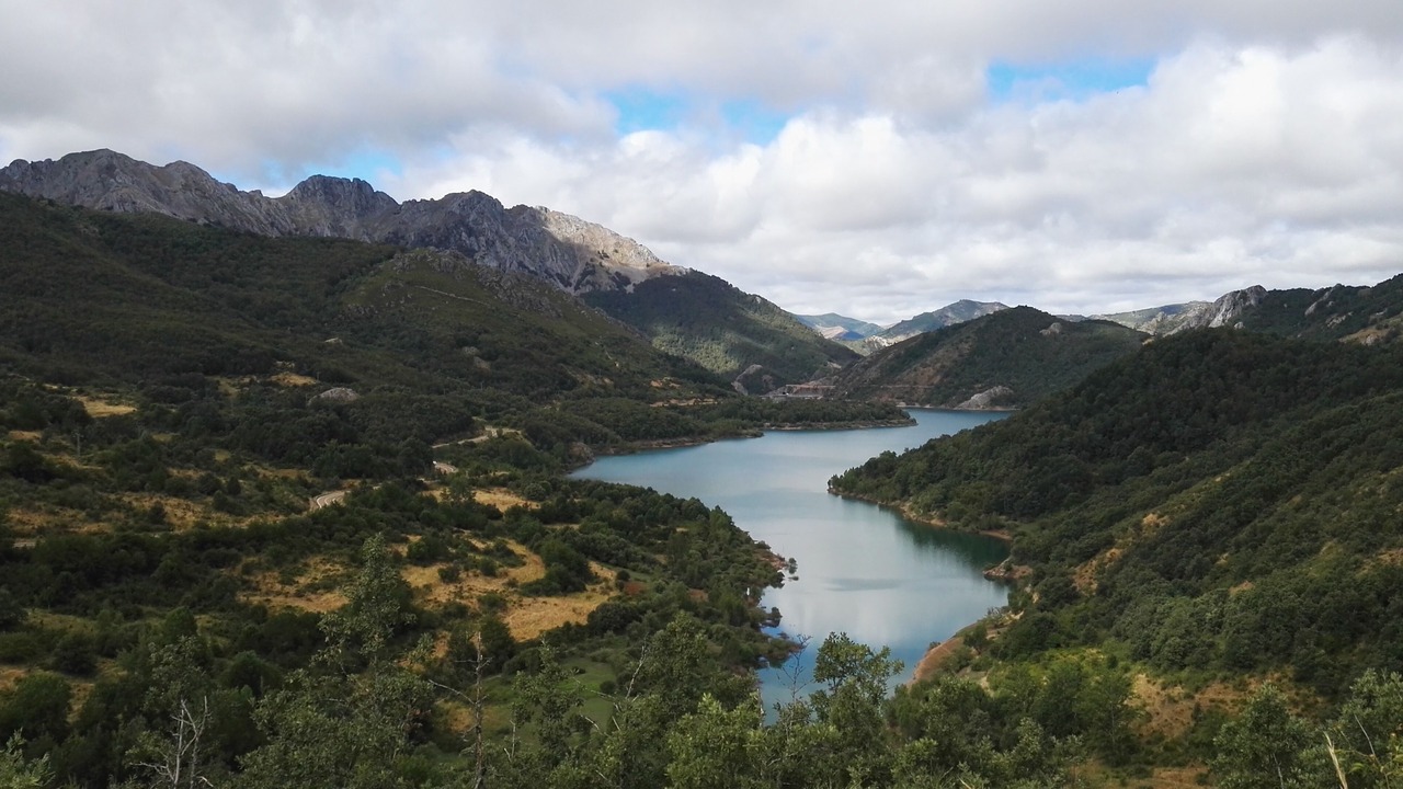 Photo of Others in Villafrea de la Reina