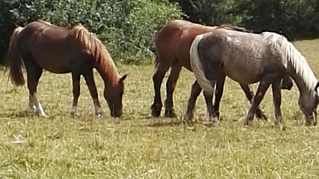 Photo of Outdoor in Villafrea de la Reina