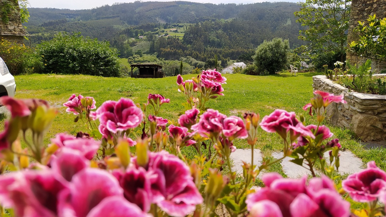 Photo of Outdoor in Ortigueira
