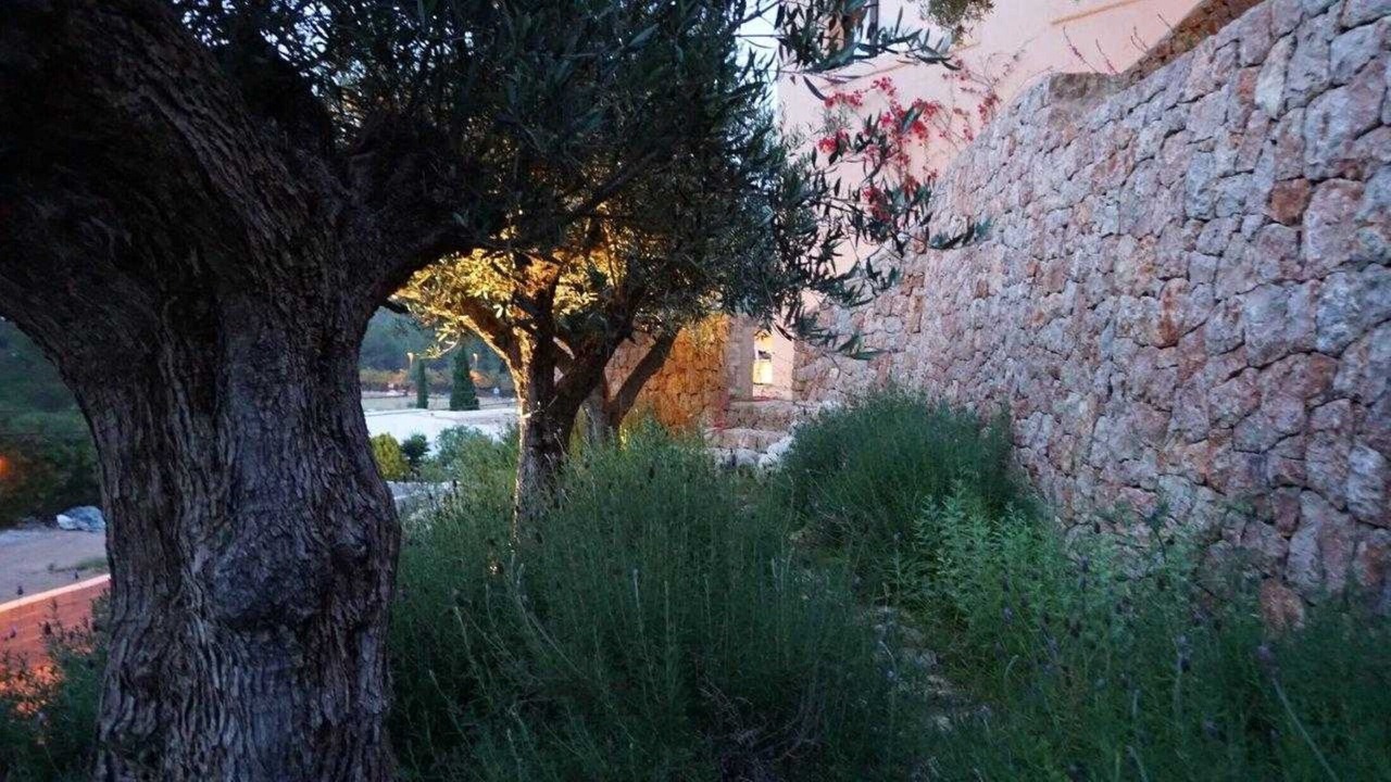Photo of Outdoor in Puerto San Miguel