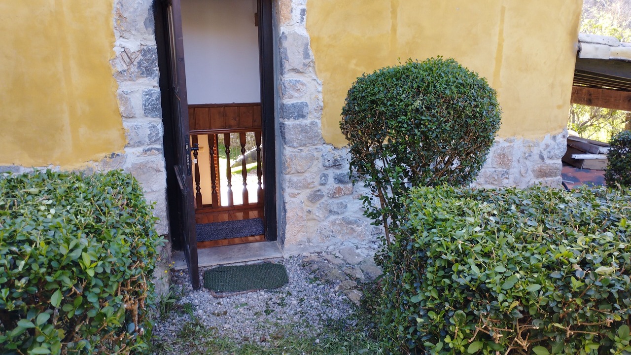 Photo of Outdoor in Mestas