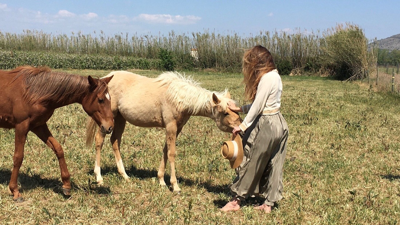 Photo of Others in Torroella de Montgri