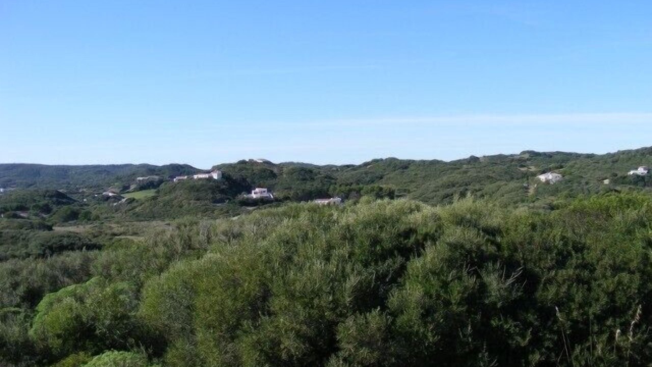 Photo of Others in Mahon