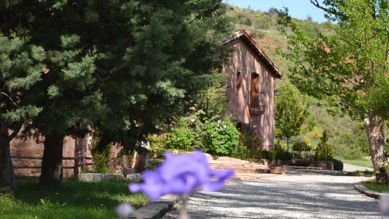 Photo of Outdoor in La Minosa