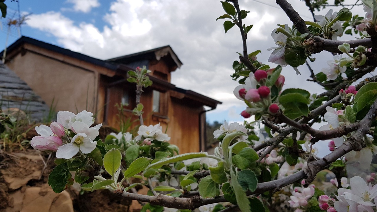 Photo of Outdoor in San Justo de Cabanillas