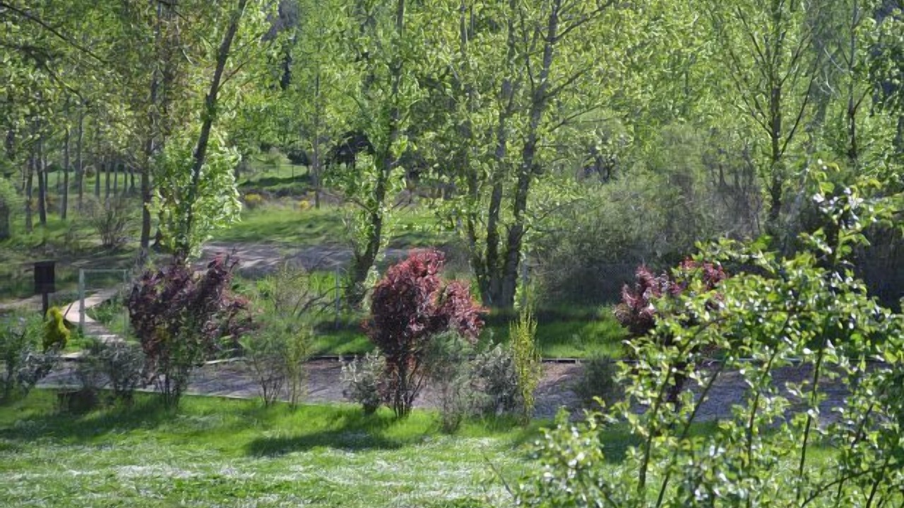 Photo of Outdoor in Miedes de Atienza