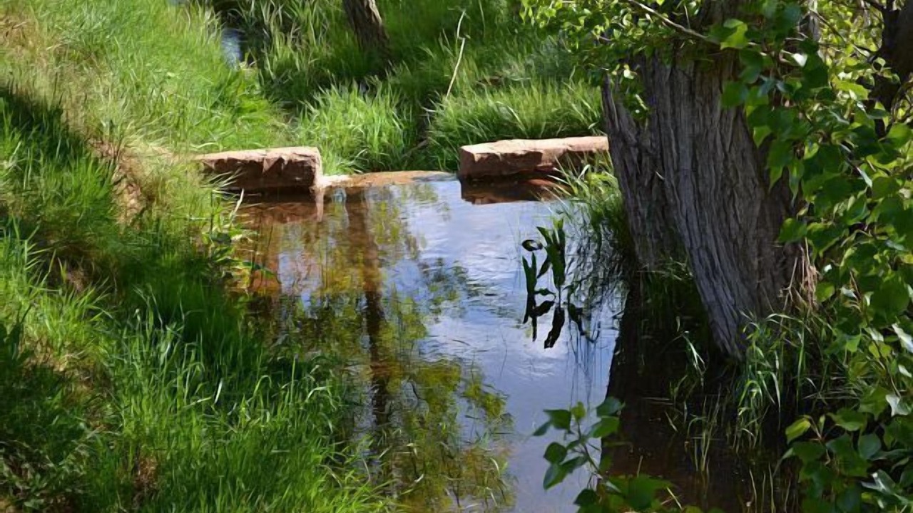 Photo of Outdoor in Miedes de Atienza