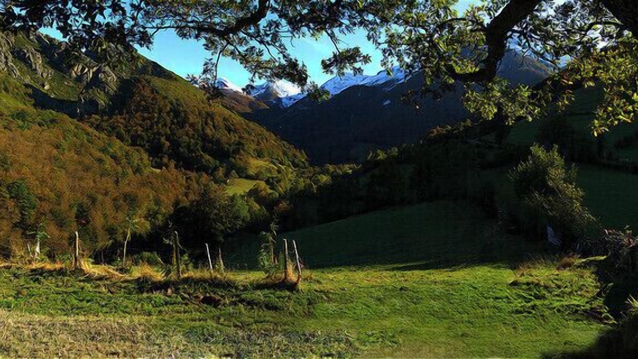 Photo of Outdoor in Santa Maria