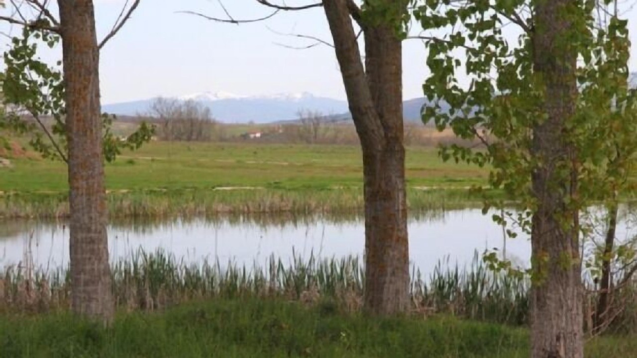 Photo of Outdoor in Ocenilla