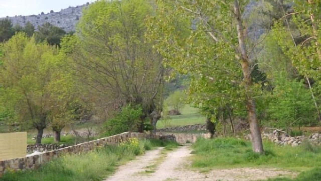 Photo of Outdoor in Ocenilla