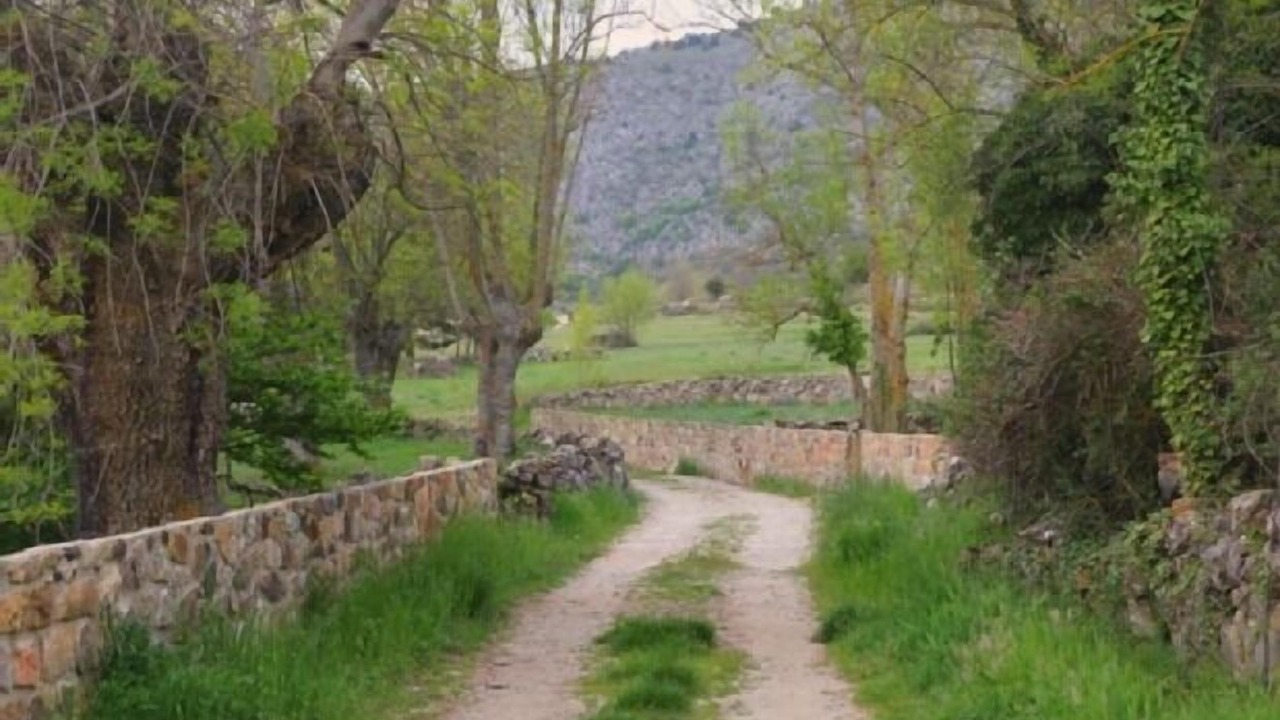 Photo of Outdoor in Ocenilla