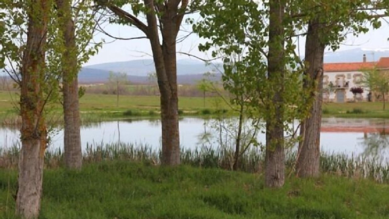 Photo of Outdoor in Ocenilla