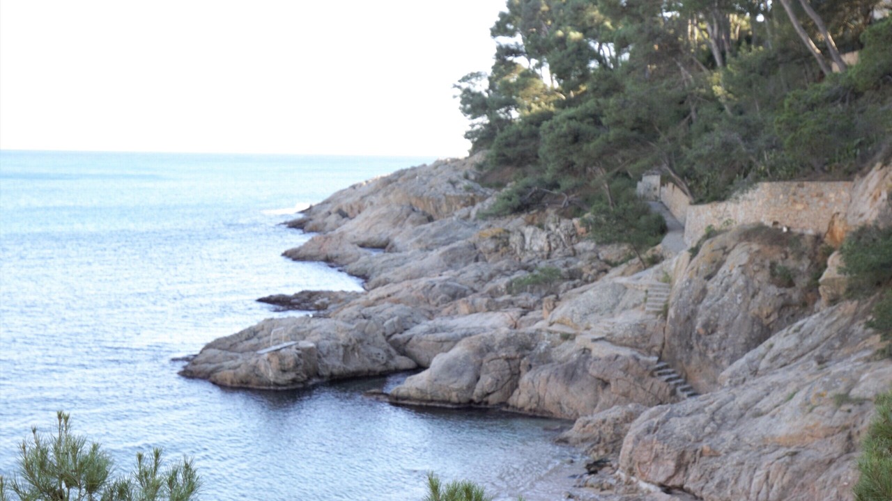 Photo of Others in Tamariu