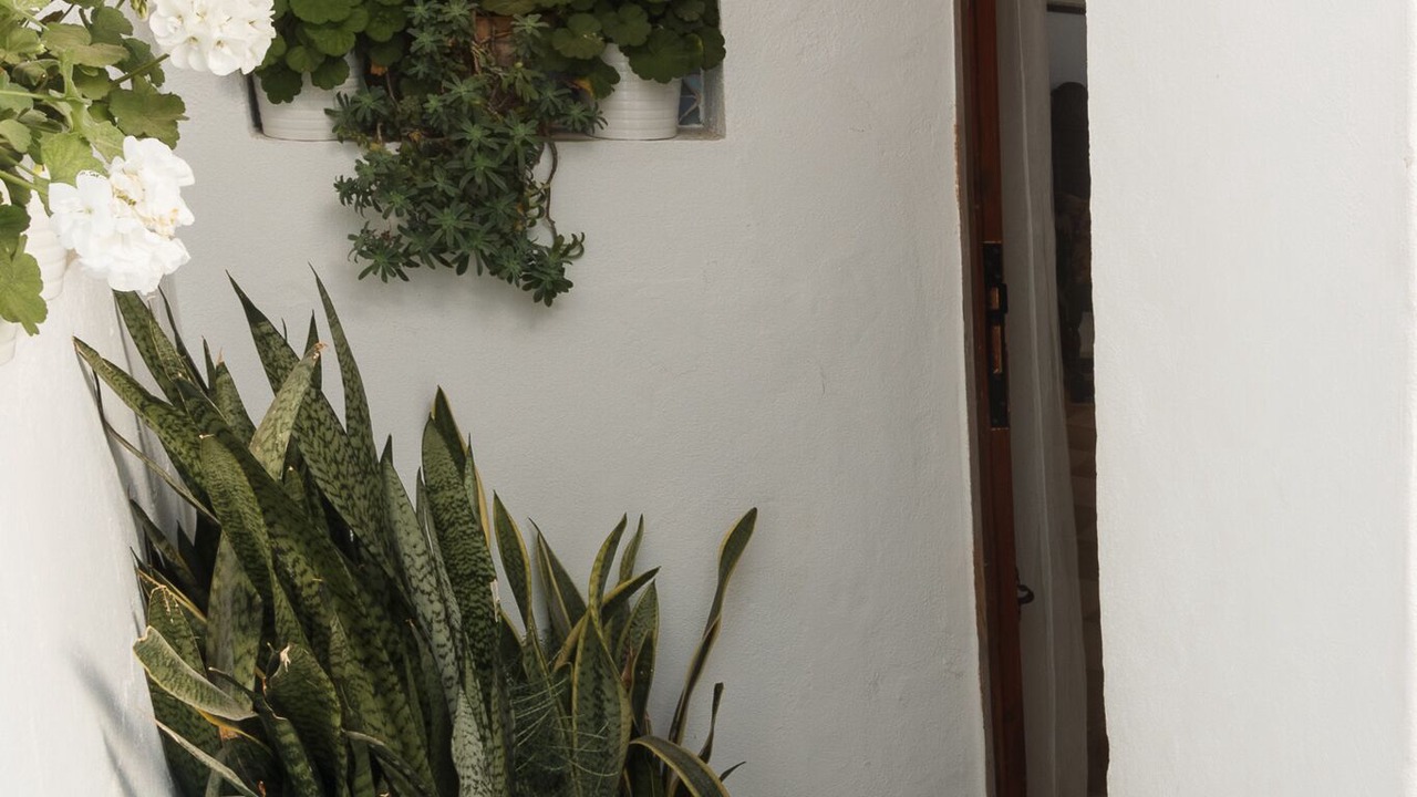 Photo of Outdoor in Mojacar