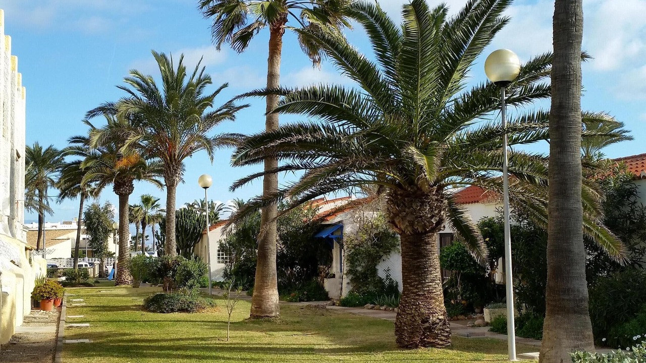 Photo of Outdoor in Roquetas de Mar