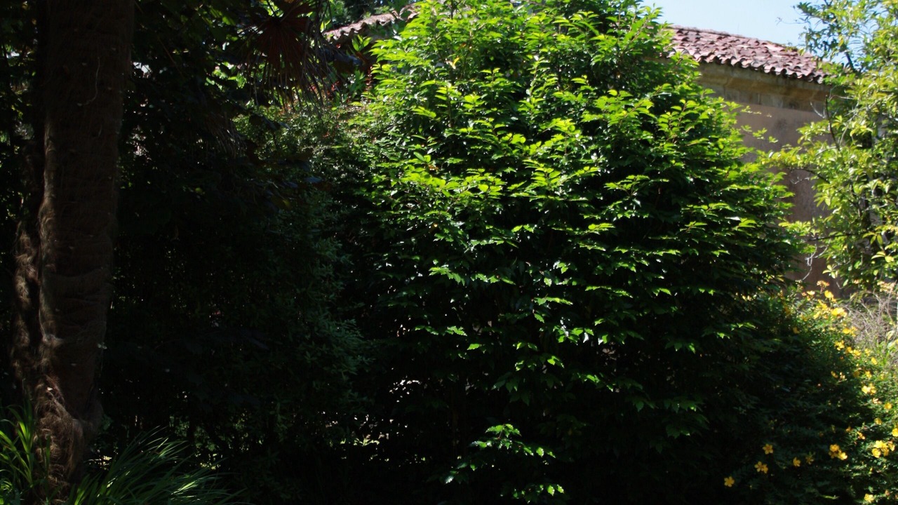 Photo of Outdoor in Treceno