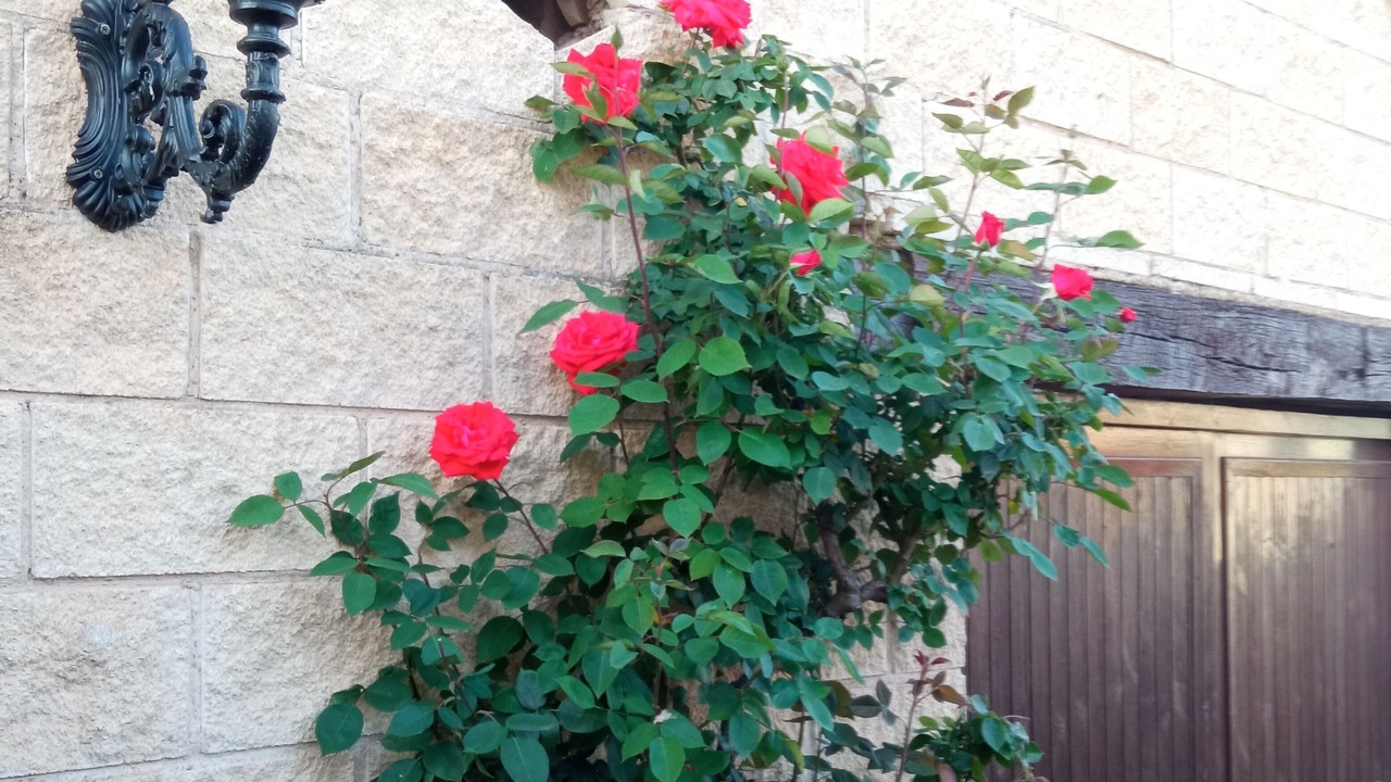 Photo of Outdoor in Arenzana de Abajo