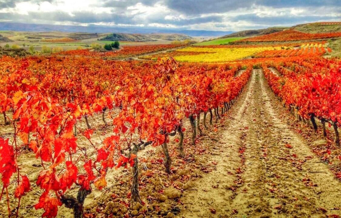 Photo of Outdoor in Arenzana de Abajo