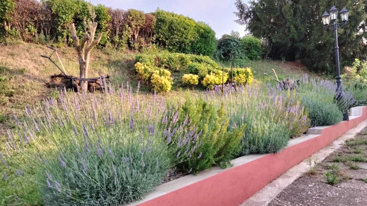 Photo of Outdoor in Arenzana de Abajo