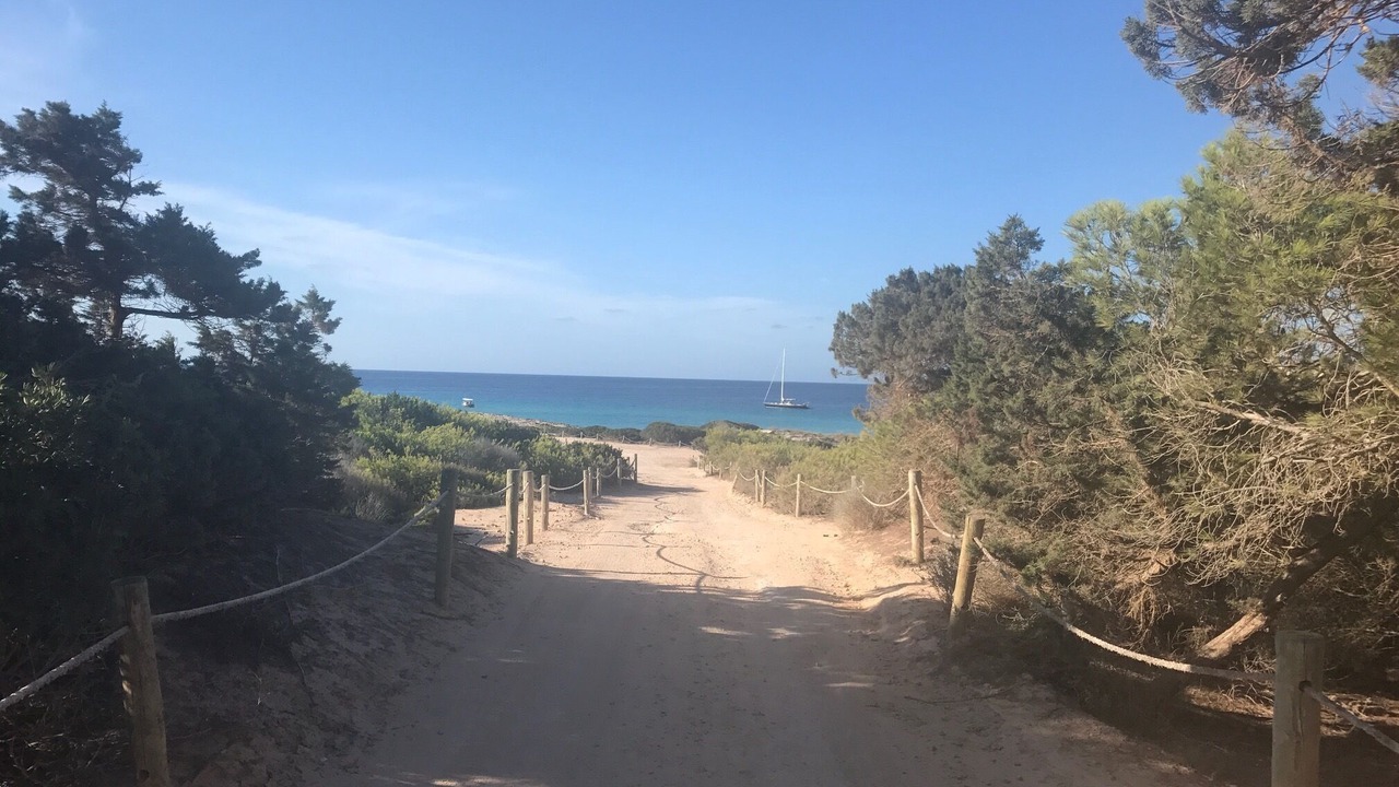 Photo of Others in Formentera