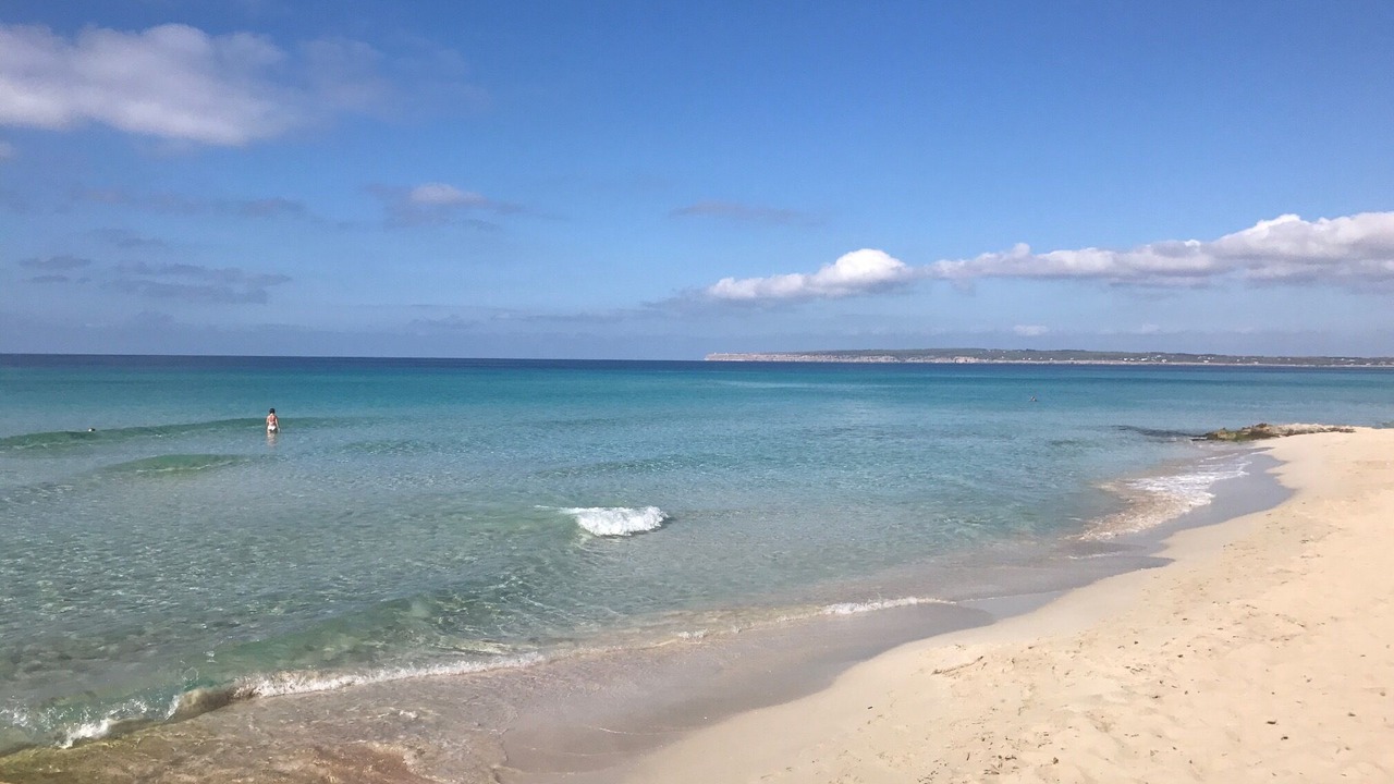 Photo of Others in Formentera