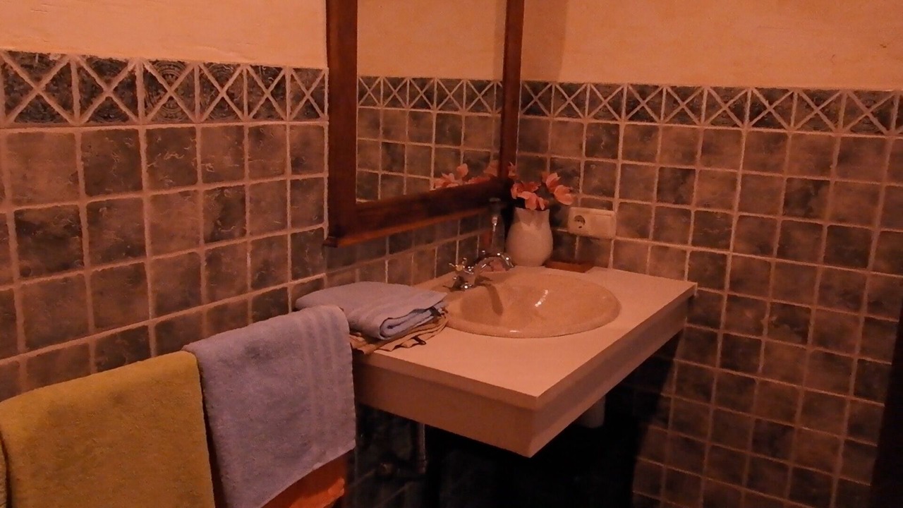 Photo of Bathroom in San Carlos del Valle