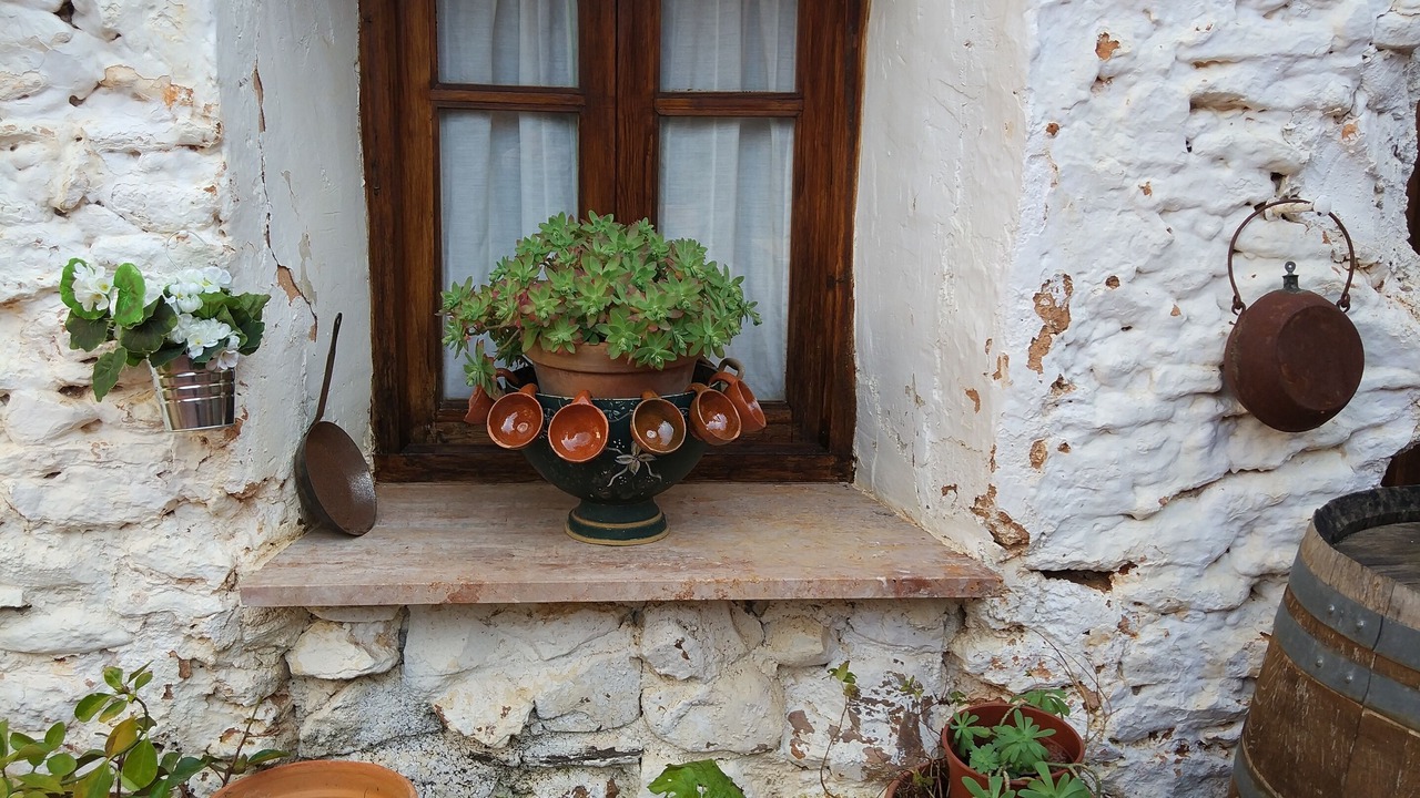 Photo of Outdoor in San Carlos del Valle