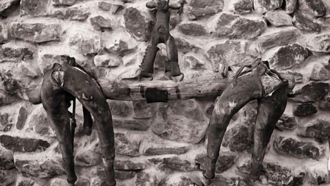 Photo of Others in San Carlos del Valle