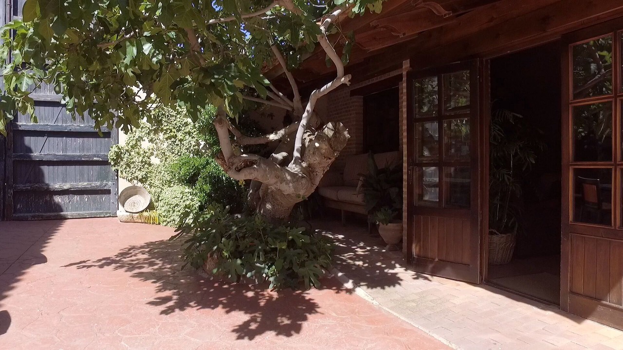 Photo of Outdoor in San Carlos del Valle