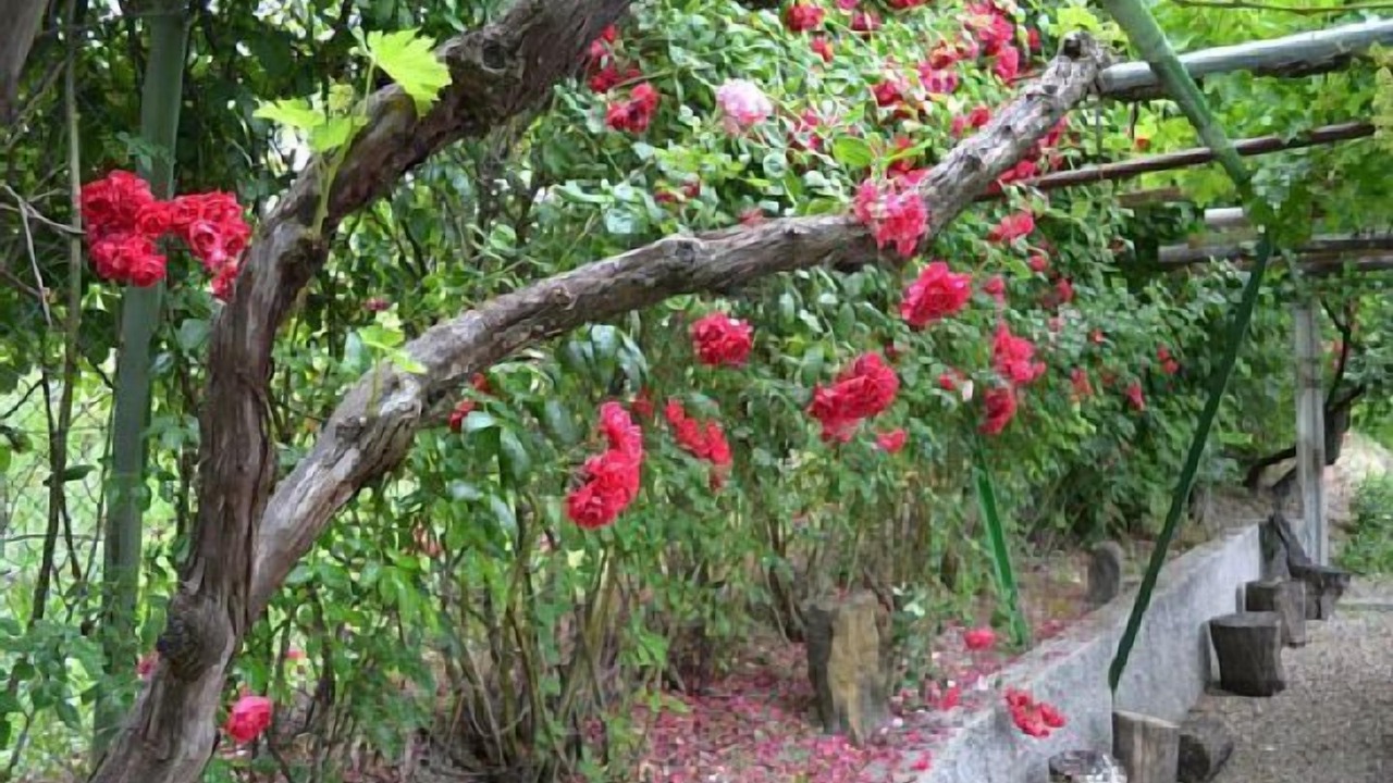 Photo of Outdoor in Cazorla