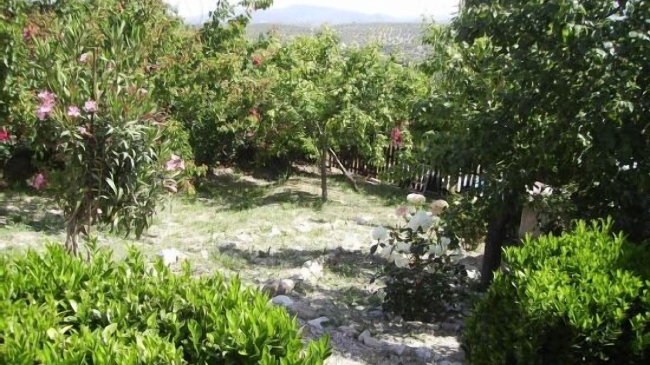 Photo of Outdoor in Cazorla