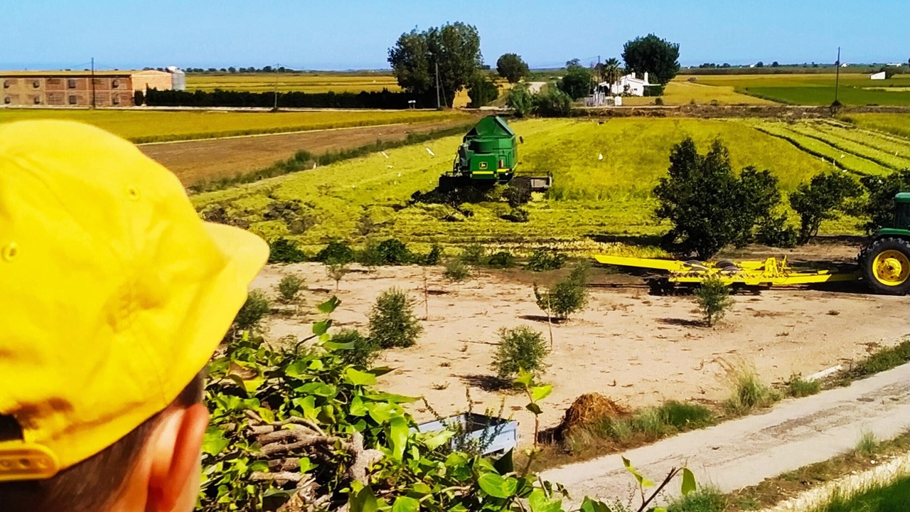 Photo of Outdoor in L'Ampolla