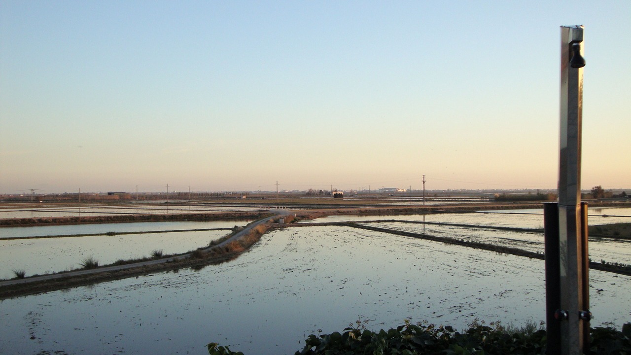 Photo of Others in L'Ampolla