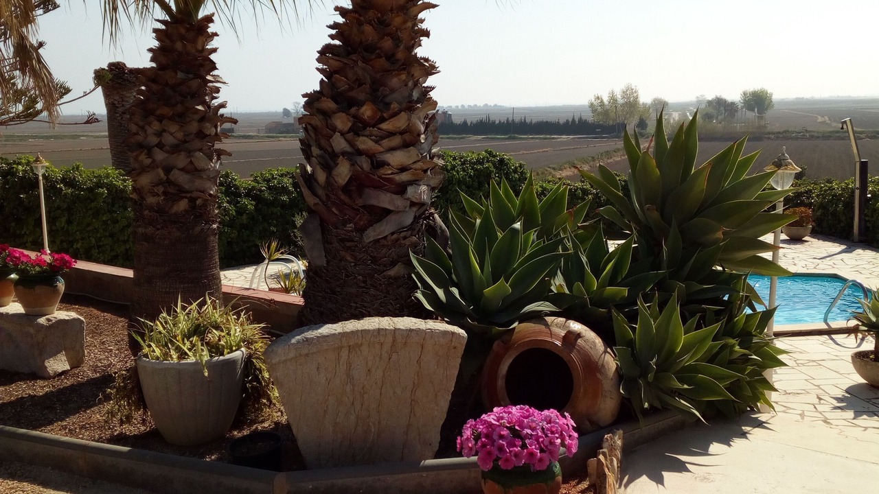 Photo of Outdoor in L'Ampolla