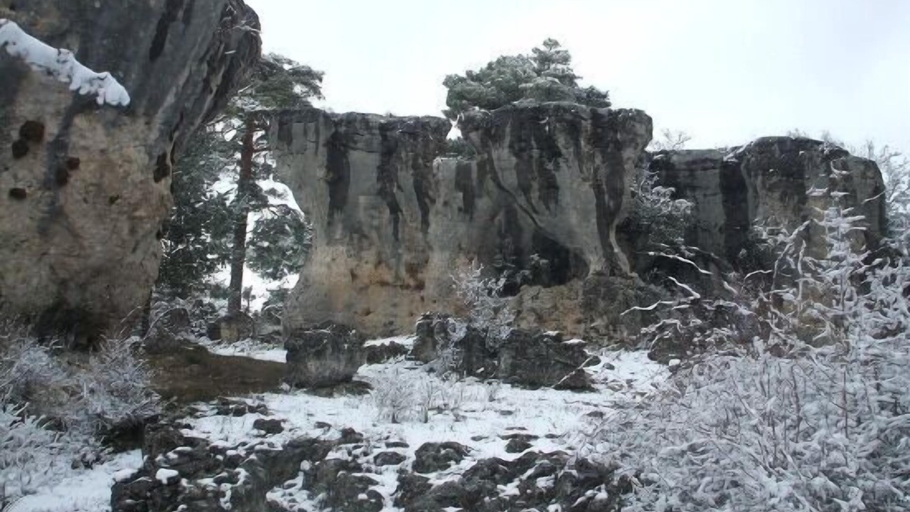 Photo of Outdoor in Las Majadas