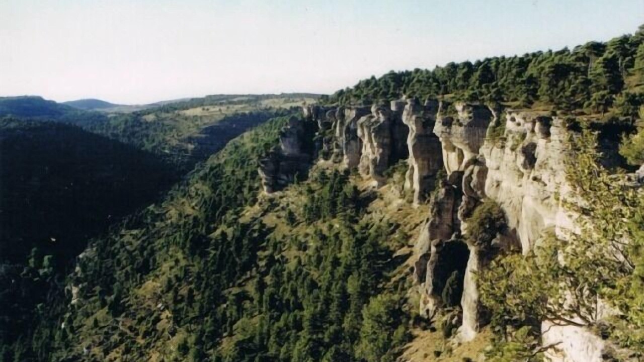 Photo of Others in Las Majadas