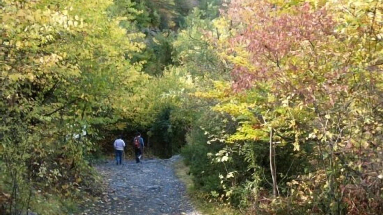 Photo of Outdoor in Sarratillo