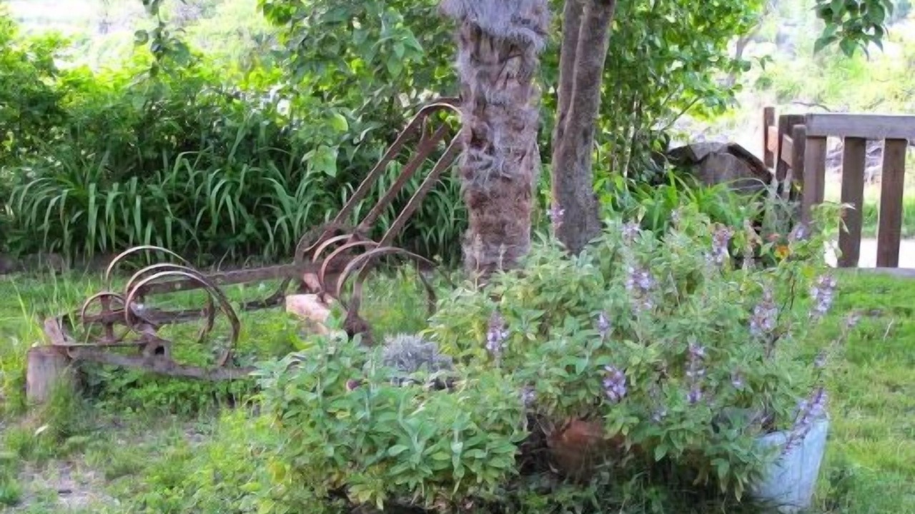 Photo of Outdoor in Sarratillo