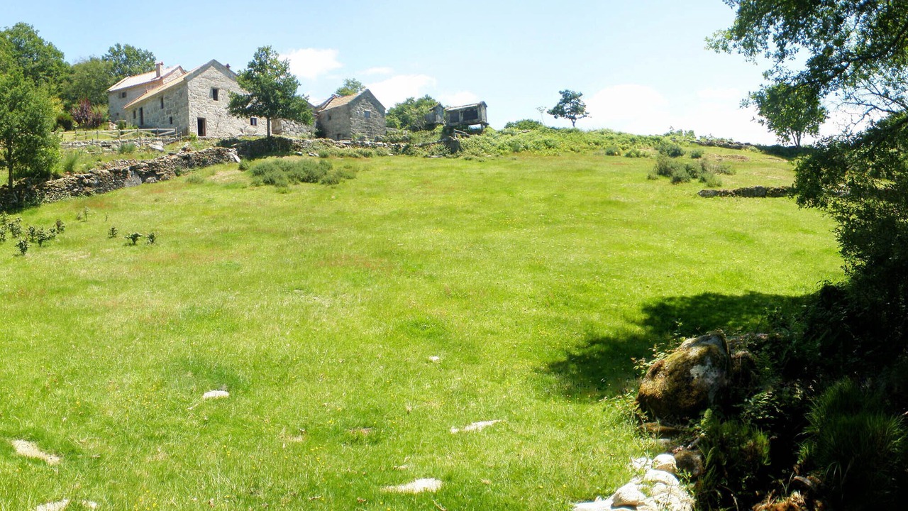 Photo of Outdoor in A Lama