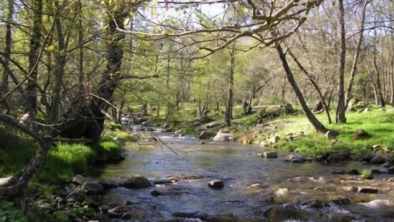Photo of Outdoor in Navaluenga