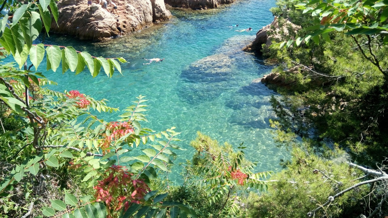 Photo of Outdoor in Sant Feliu de Guixols